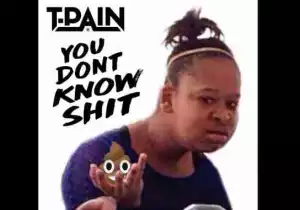 T-Pain - You Don’t Know Shit